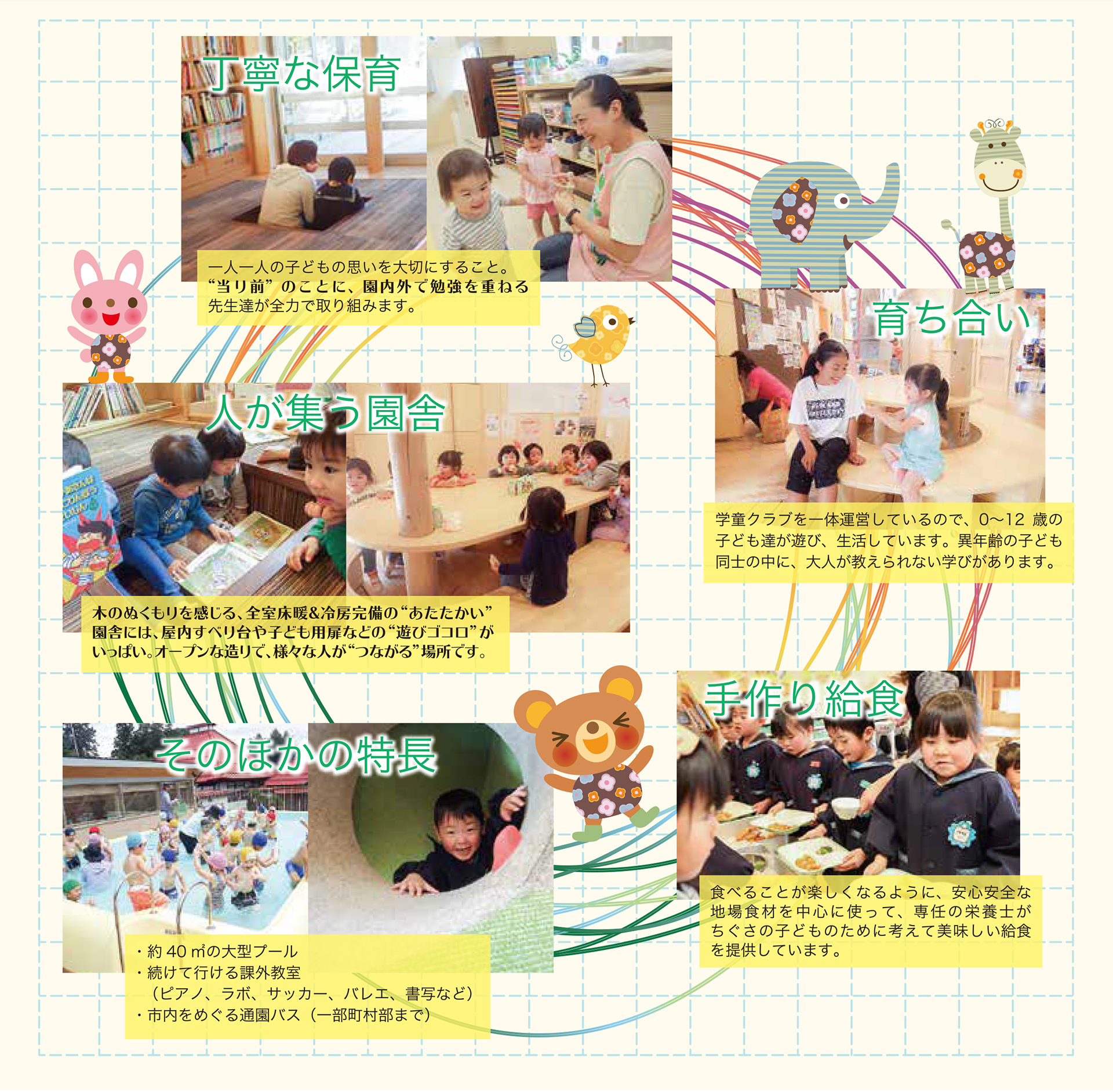 ちぐさの特長